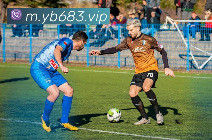 App Interface Preview